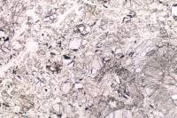 Pyroxénite serpentinisée LPNA x10